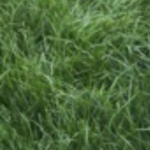 Meet your Posher, Danna